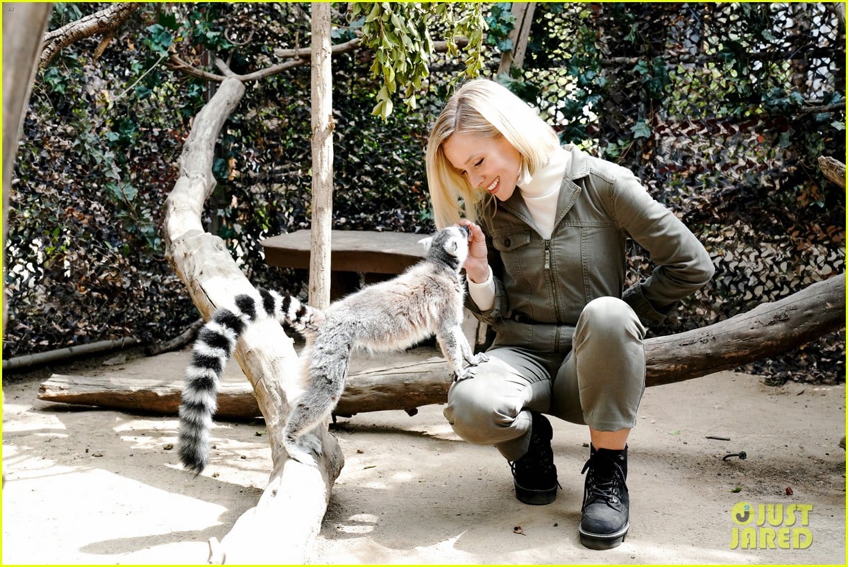 Kristen Bell Reunites With A Sloth on 'Ellen' Series After Her Viral