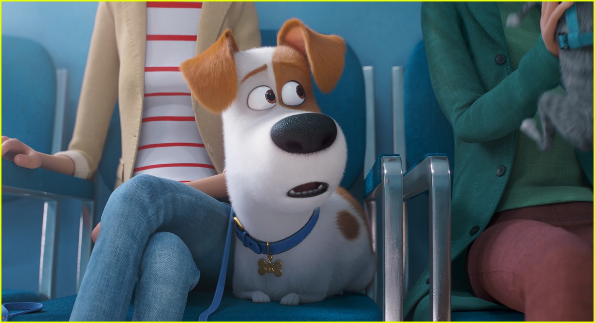 &lsquo;The Secret Life of Pets 2&rsquo; Voice Cast, Including New Max Actor