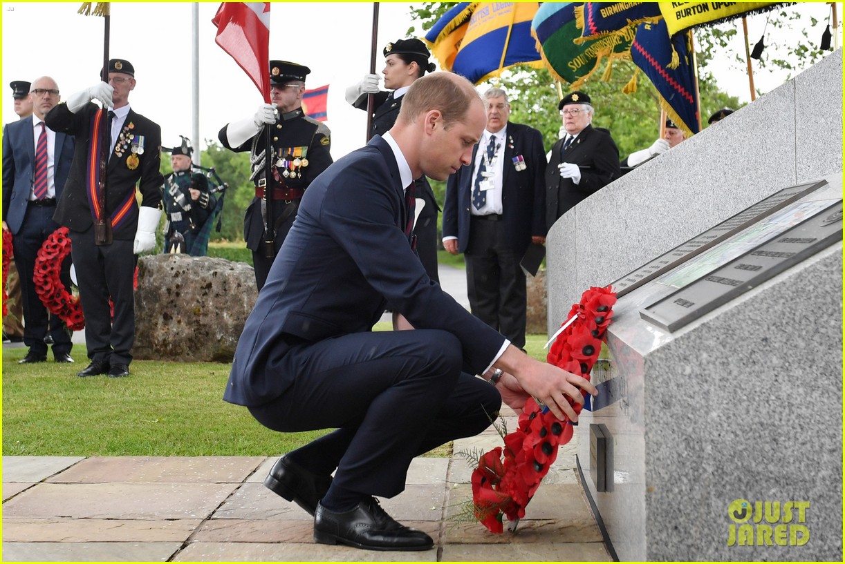 Prince Harry & Prince William Step Out Solo for DDay Royal Duties