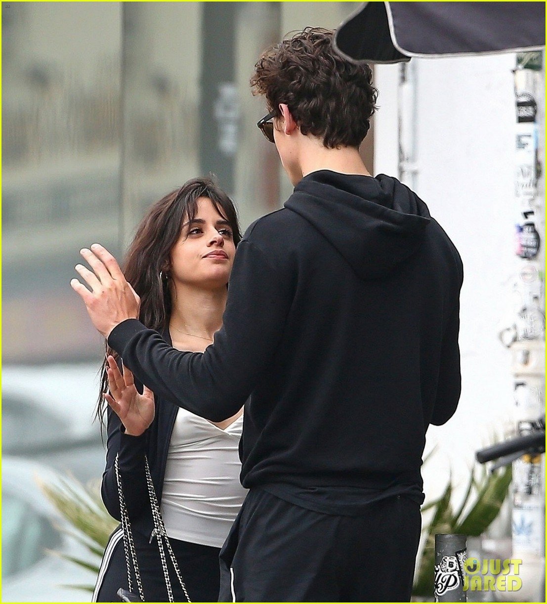 Shawn Mendes & Camila Cabello Hold Hands, Flaunt PDA at Sunday Brunch