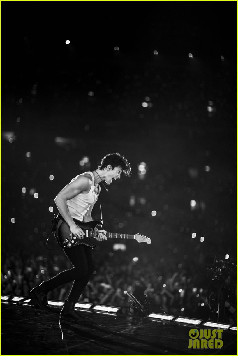 Camila Cabello Makes Surprise Appearance at Shawn Mendes Concert in