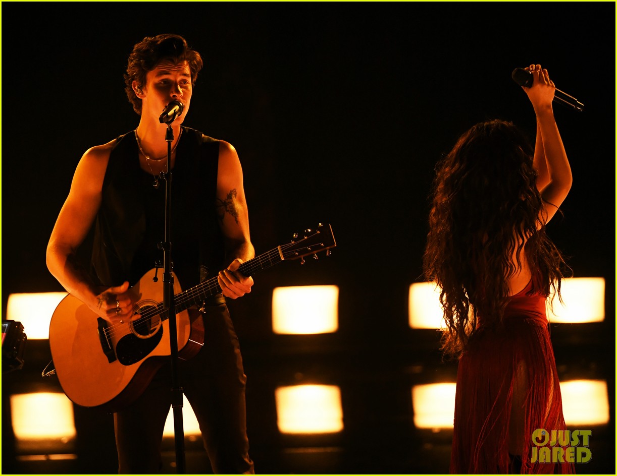 Shawn Mendes & Camila Cabello Heat Up AMAs 2019 with 'Senorita