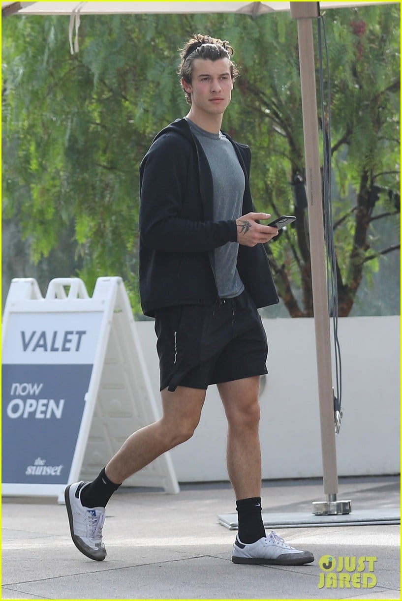Shawn Mendes Gets In His Daily Workout at Equinox Photo 4388206
