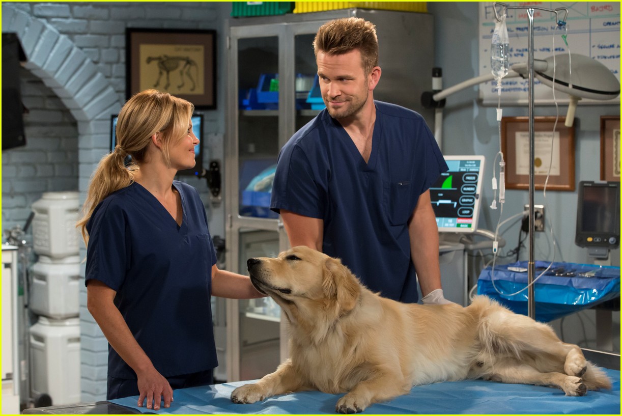 'Fuller House' Dog Cosmo Has Died Due to Complications from Surgery