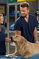 fuller house dog cosmo has died 02
