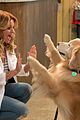 fuller house dog cosmo has died 03