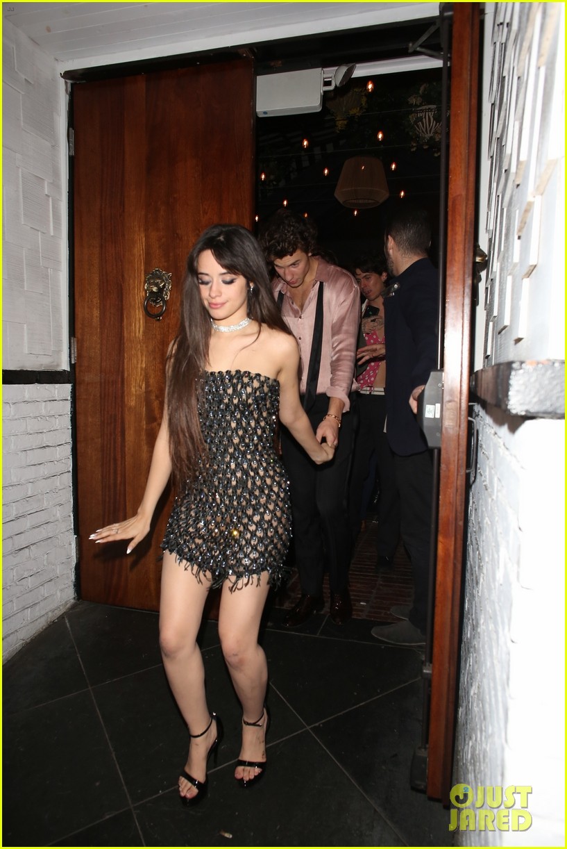 Camila Cabello & Shawn Mendes Hold Hands After Night Out at Grammys