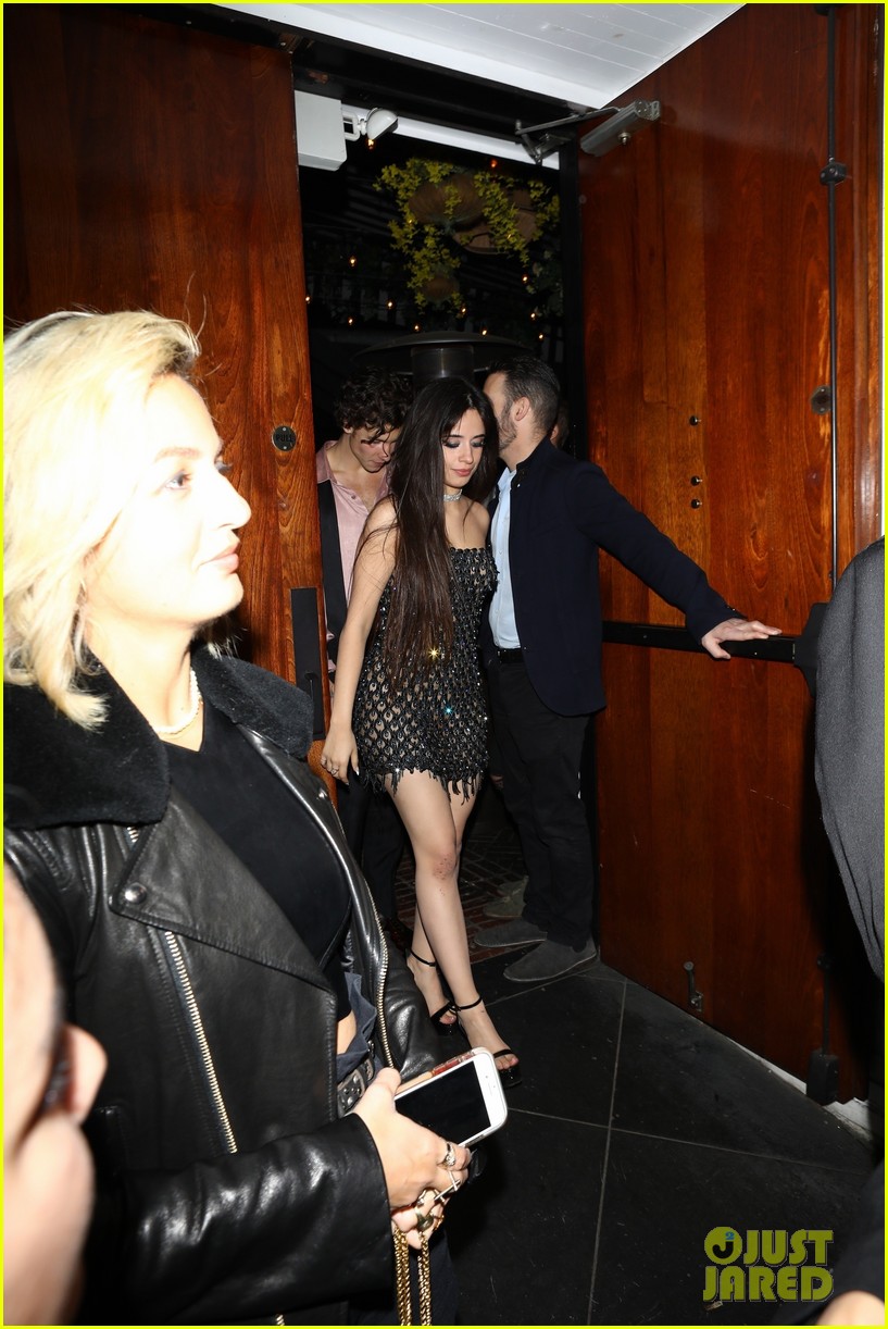 Camila Cabello & Shawn Mendes Hold Hands After Night Out at Grammys