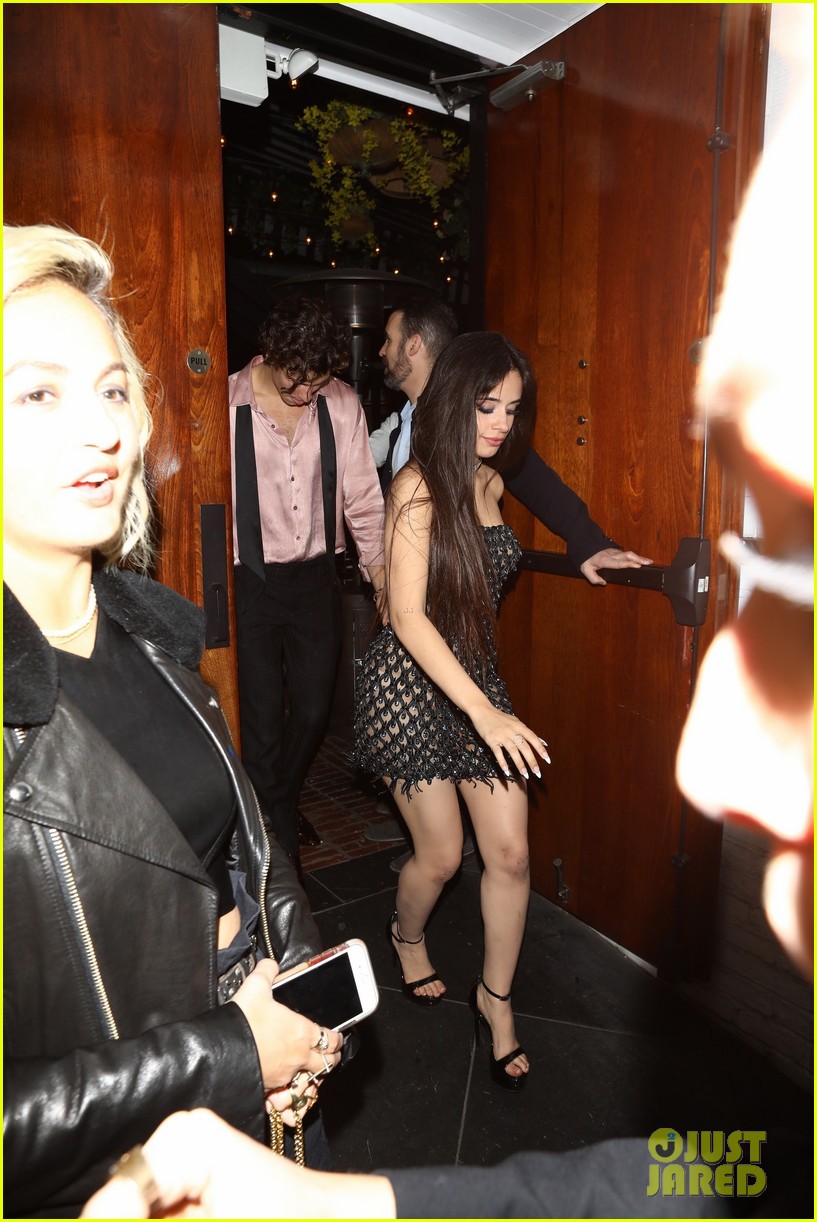 Camila Cabello & Shawn Mendes Hold Hands After Night Out at Grammys