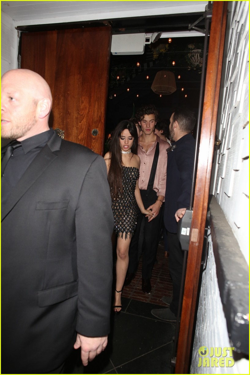 Camila Cabello & Shawn Mendes Hold Hands After Night Out at Grammys