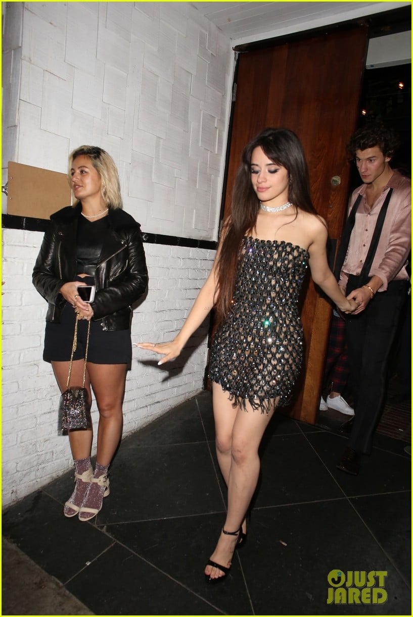 Camila Cabello & Shawn Mendes Hold Hands After Night Out at Grammys