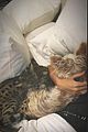 hailey bieber cuddles with fur babies 04