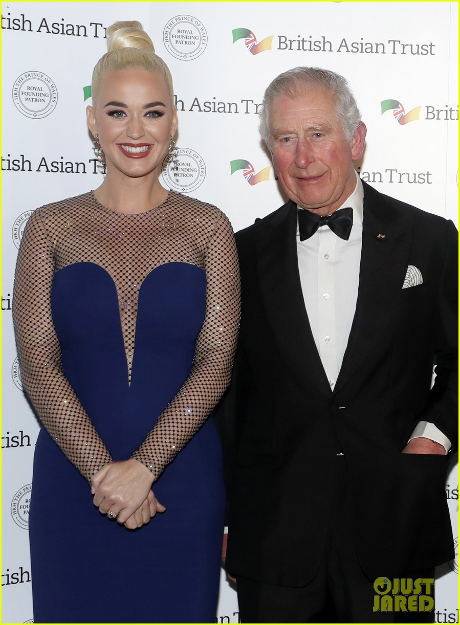 Katy Perry Named British Asian Trust Ambassador by Prince Charles