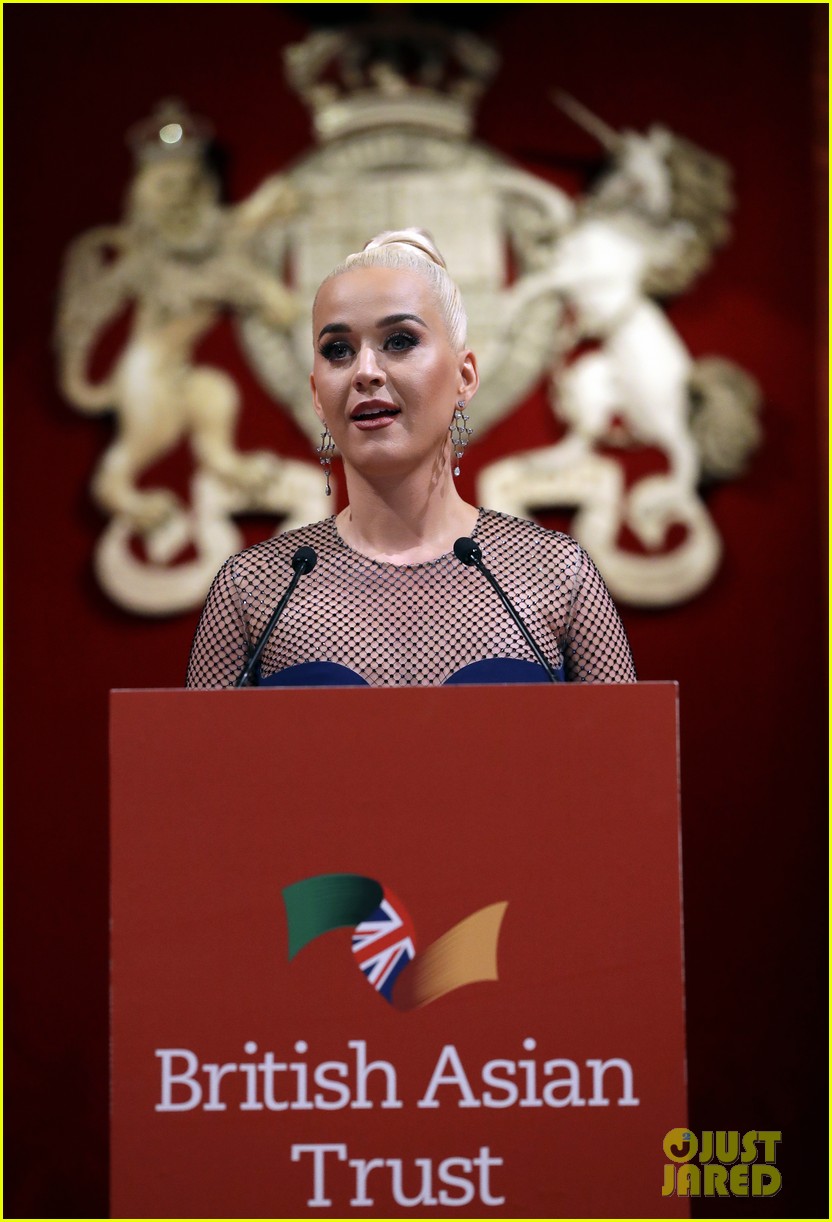 Katy Perry Named British Asian Trust Ambassador by Prince Charles