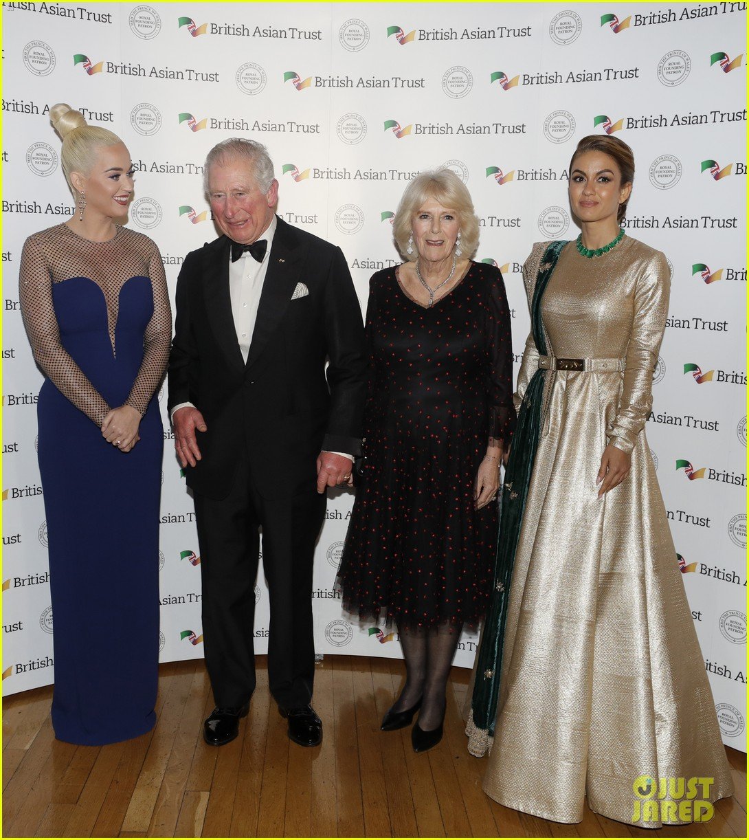 Katy Perry Named British Asian Trust Ambassador by Prince Charles