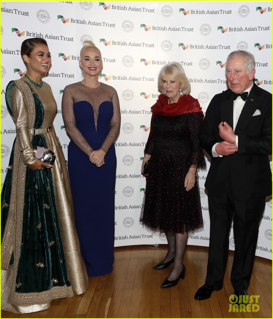 Katy Perry Named British Asian Trust Ambassador by Prince Charles