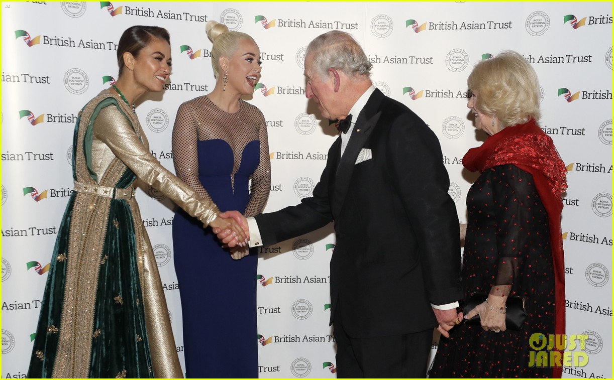 Katy Perry Named British Asian Trust Ambassador by Prince Charles