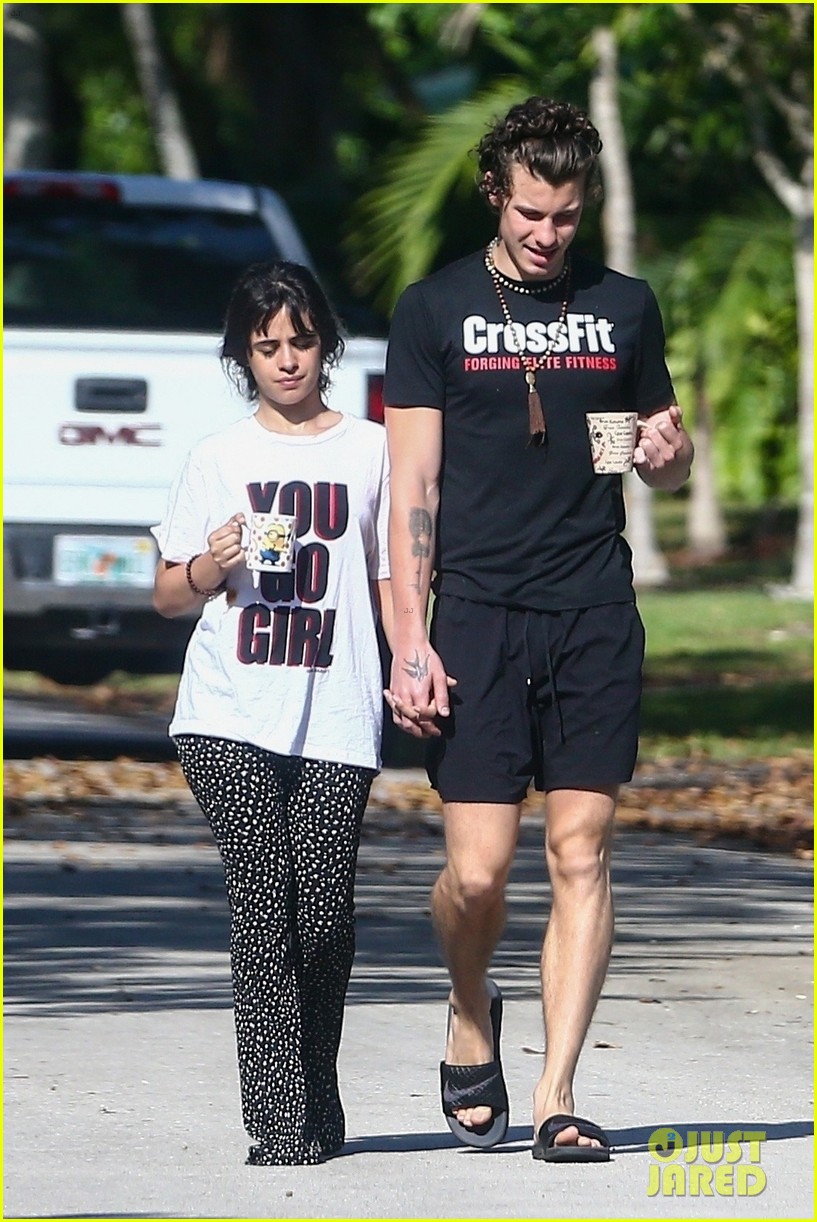 Shawn Mendes & Camila Cabello Go for Their Friday Morning Walk With