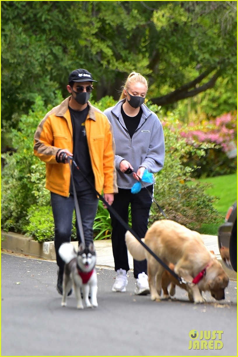Joe Jonas & Sophie Turner Go For a Monday Afternoon Dog Walk Photo
