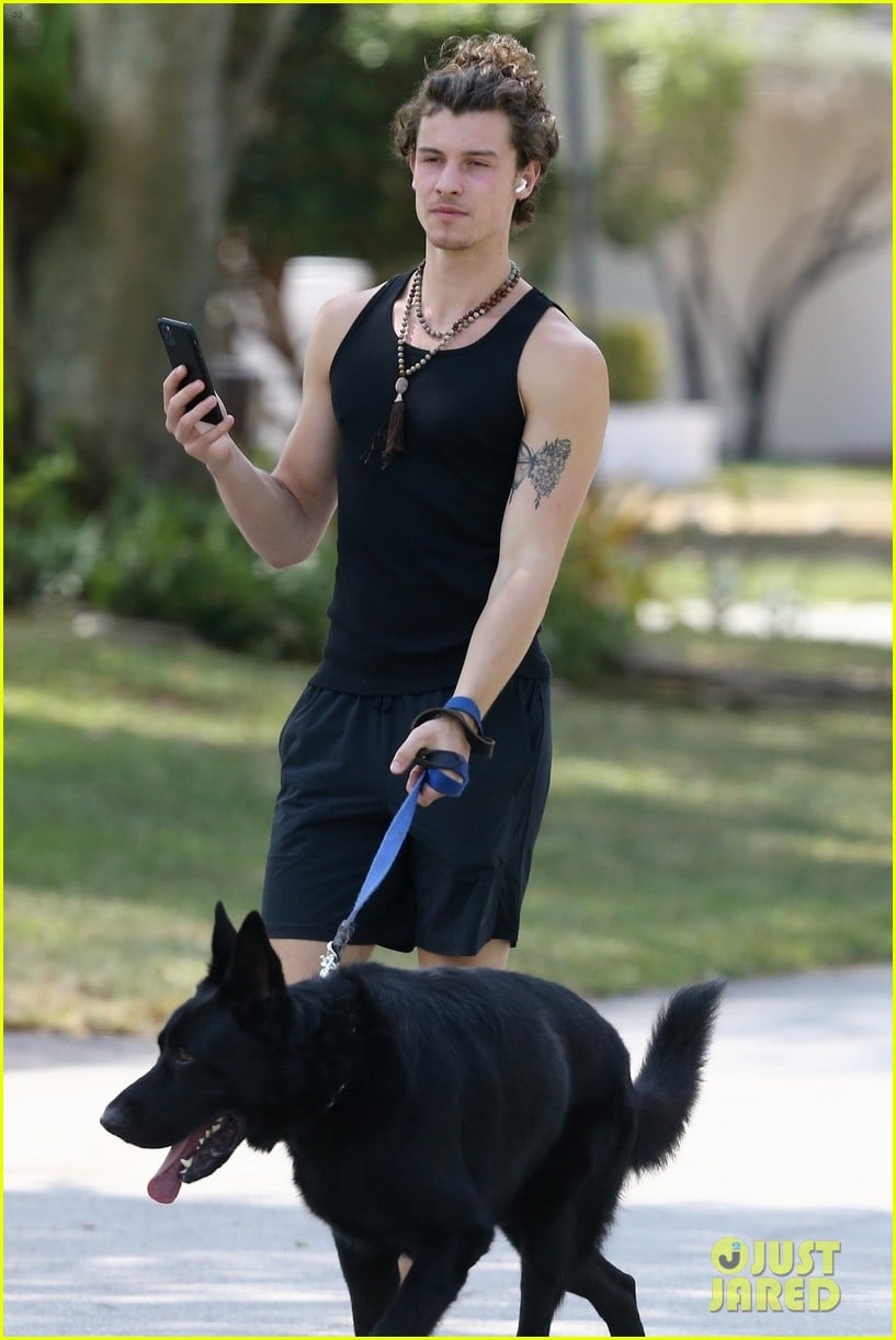 Shawn Mendes Takes Camila Cabello's Dog Thunder for a Walk Photo