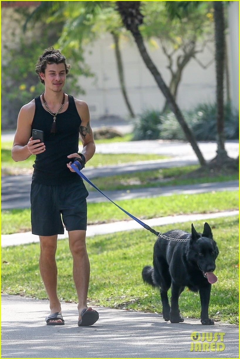 Shawn Mendes Takes Camila Cabello's Dog Thunder for a Walk Photo