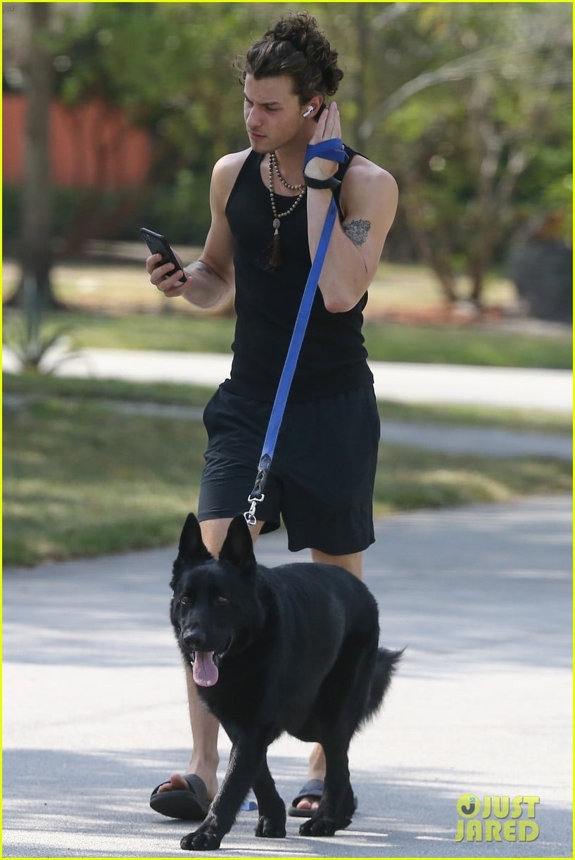 Shawn Mendes Takes Camila Cabello's Dog Thunder for a Walk Photo