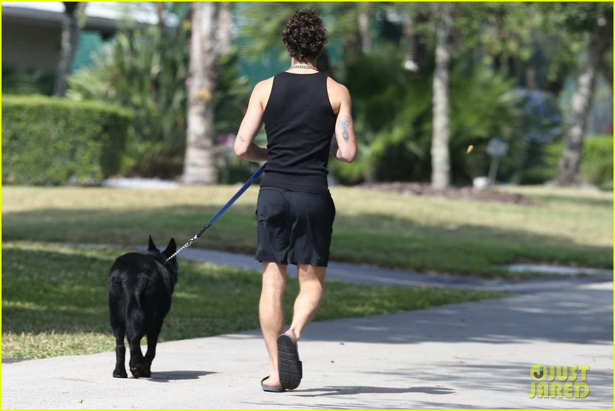Shawn Mendes Takes Camila Cabello's Dog Thunder for a Walk Photo