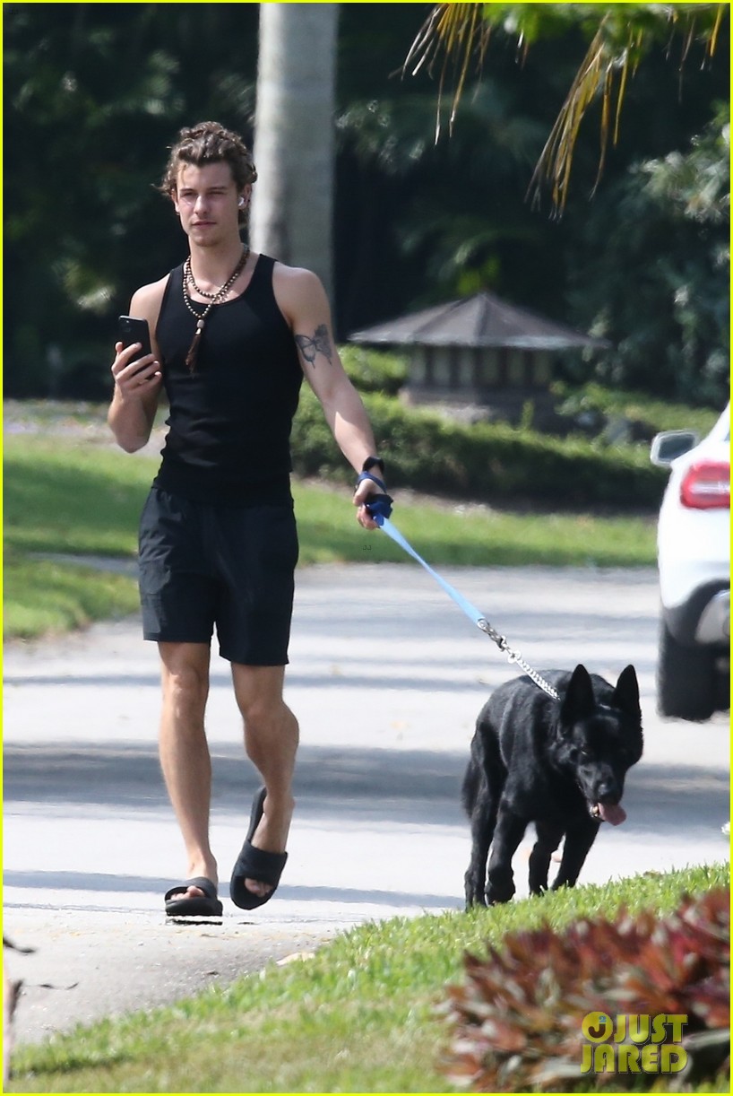 Shawn Mendes Takes Camila Cabello's Dog Thunder for a Walk Photo