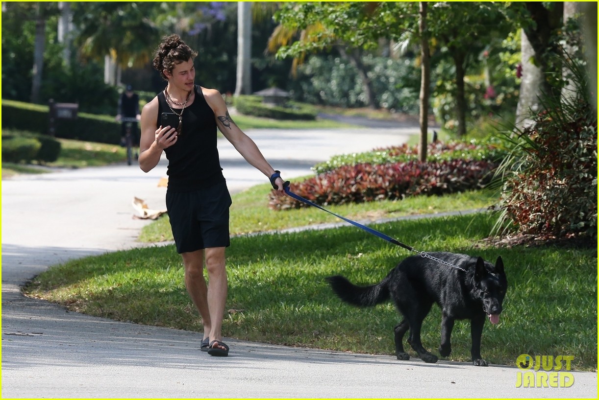Shawn Mendes Takes Camila Cabello's Dog Thunder for a Walk Photo
