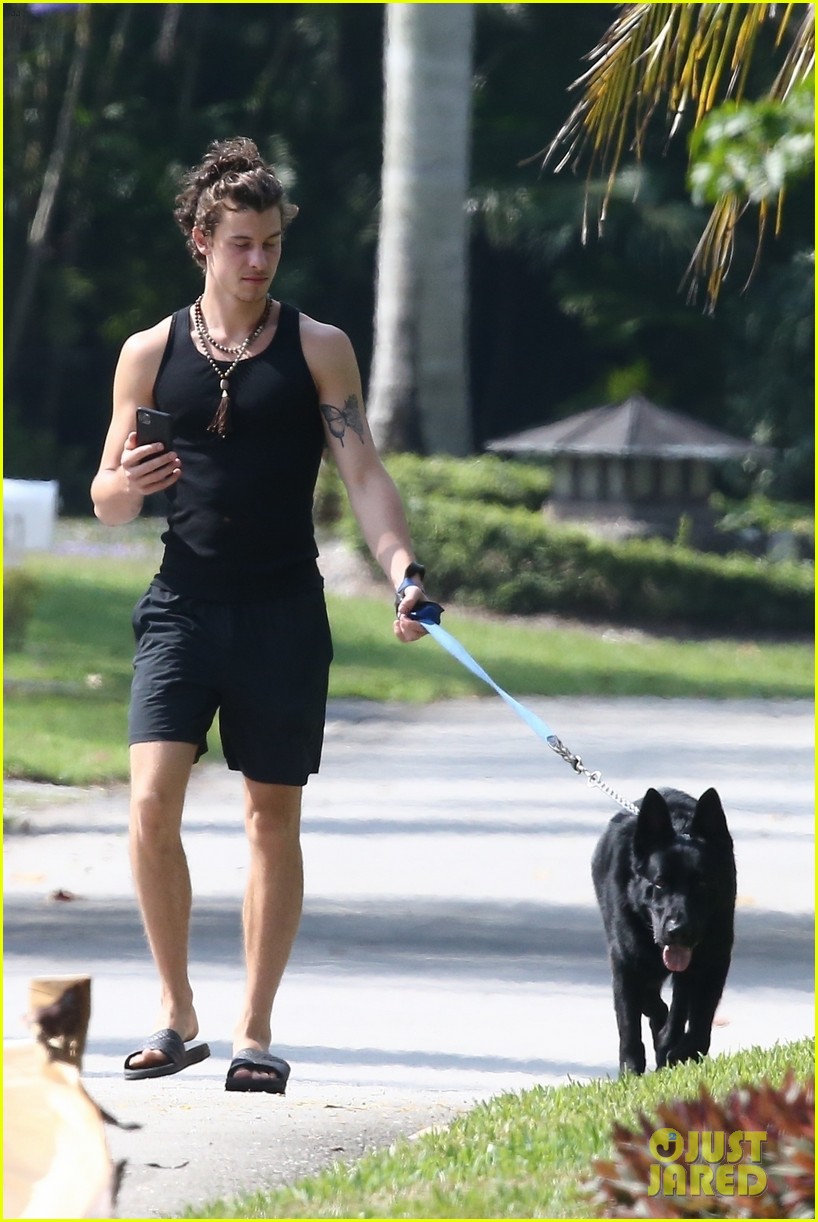 Shawn Mendes Takes Camila Cabello's Dog Thunder for a Walk Photo