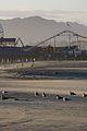 los angeles beaches to reopen 08