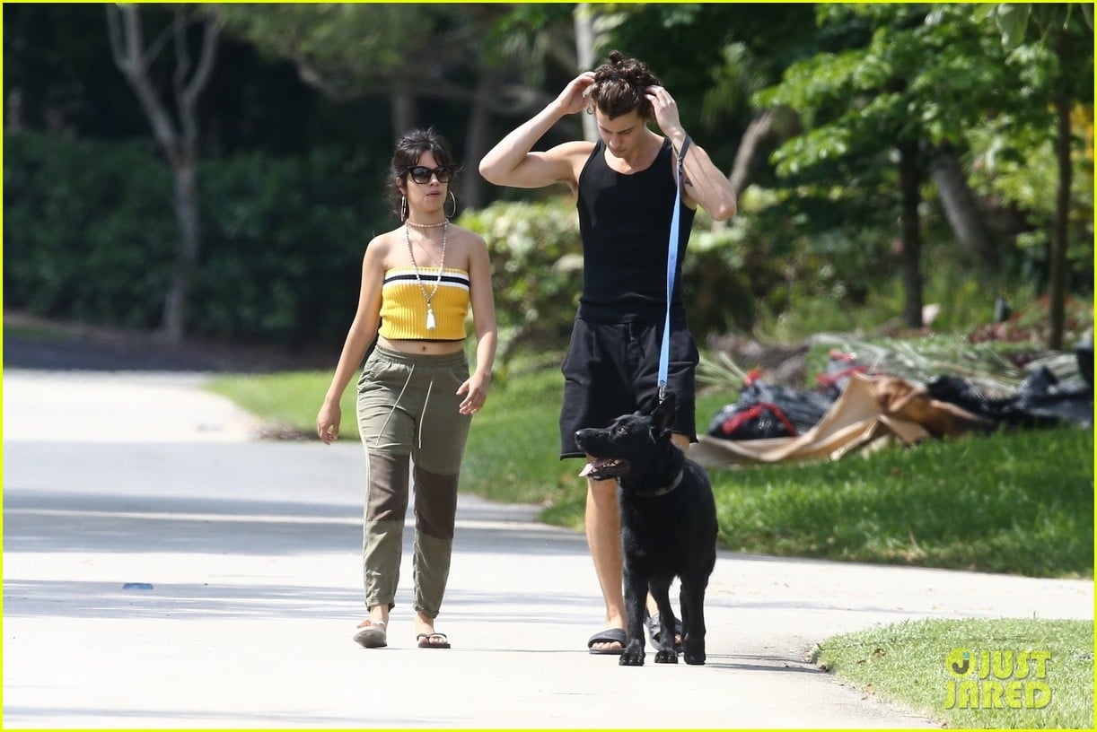 Photo: shawn mendes camila cabello walking photos 20 | Photo 4458148