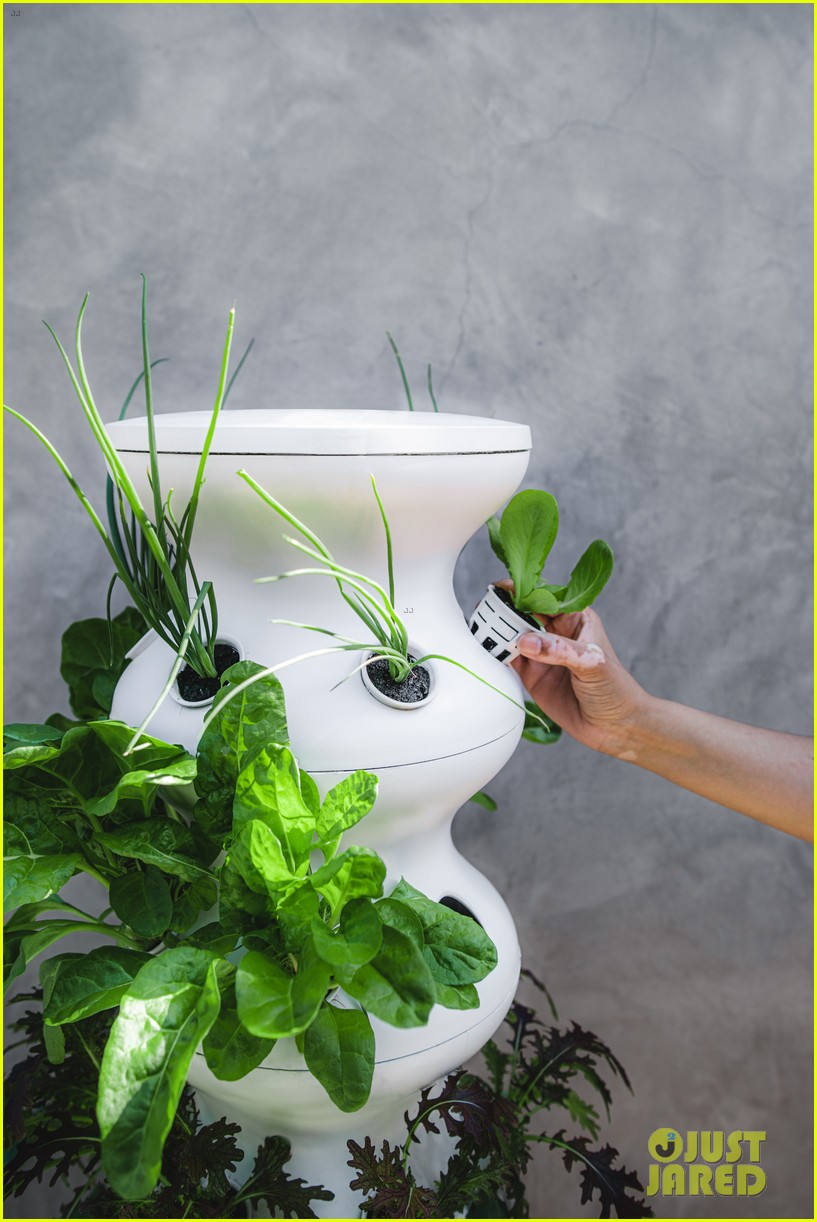 Zooey Deschanel's Portable Garden Makes It So Easy to Grow Your Own