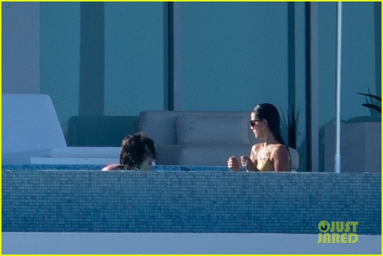 Timothee Chalamet & Eiza Gonzalez Get Steamy in the Pool Together Amid ...