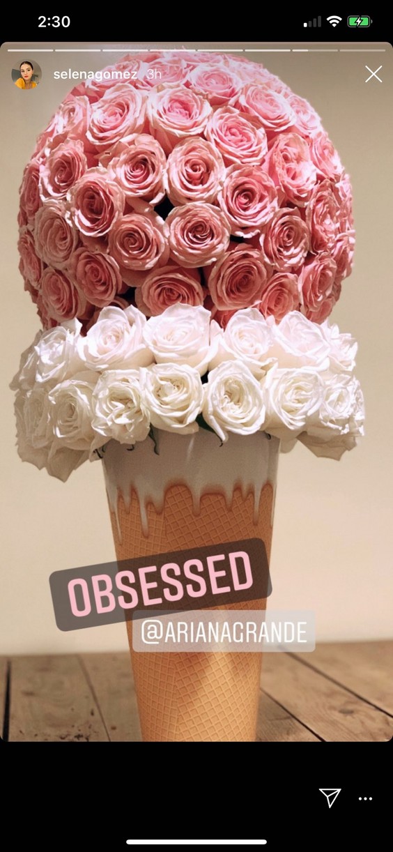 Ariana Grande Sent Selena Gomez An Ice Cream Cone Shaped Flower