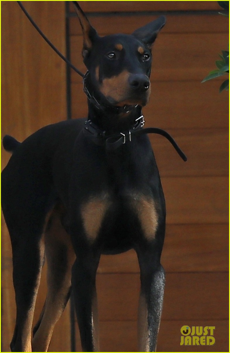 Kendall Jenner Brings Her Dog Six with Her to Lunch with Friends Photo