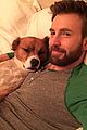 fans sharing pics of chris evans with dog dodger 05
