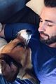 fans sharing pics of chris evans with dog dodger 07