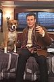 fans sharing pics of chris evans with dog dodger 21