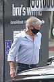 harrison ford calista flockhart mask up while going food shopping 03