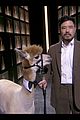 randall park attends emmys 2020 with alpaca 03
