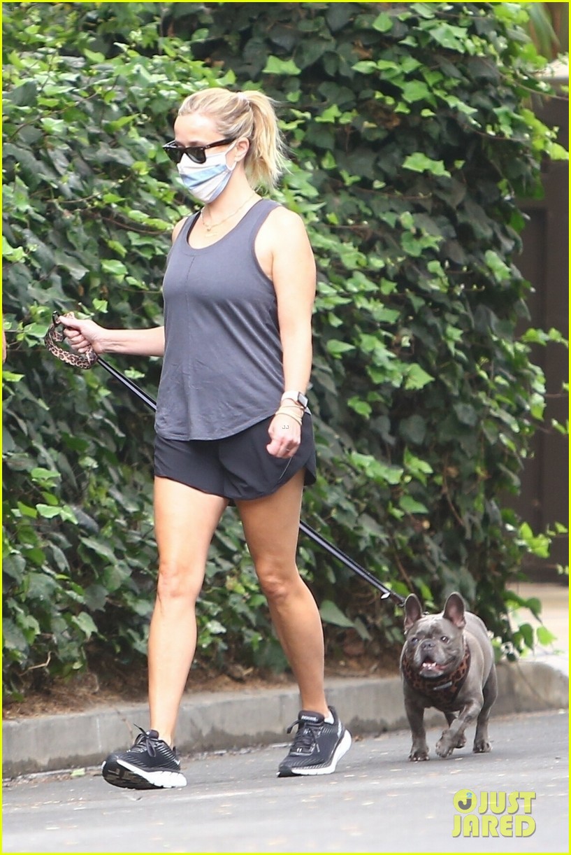 reese witherspoon walk with french bulldog 014481621