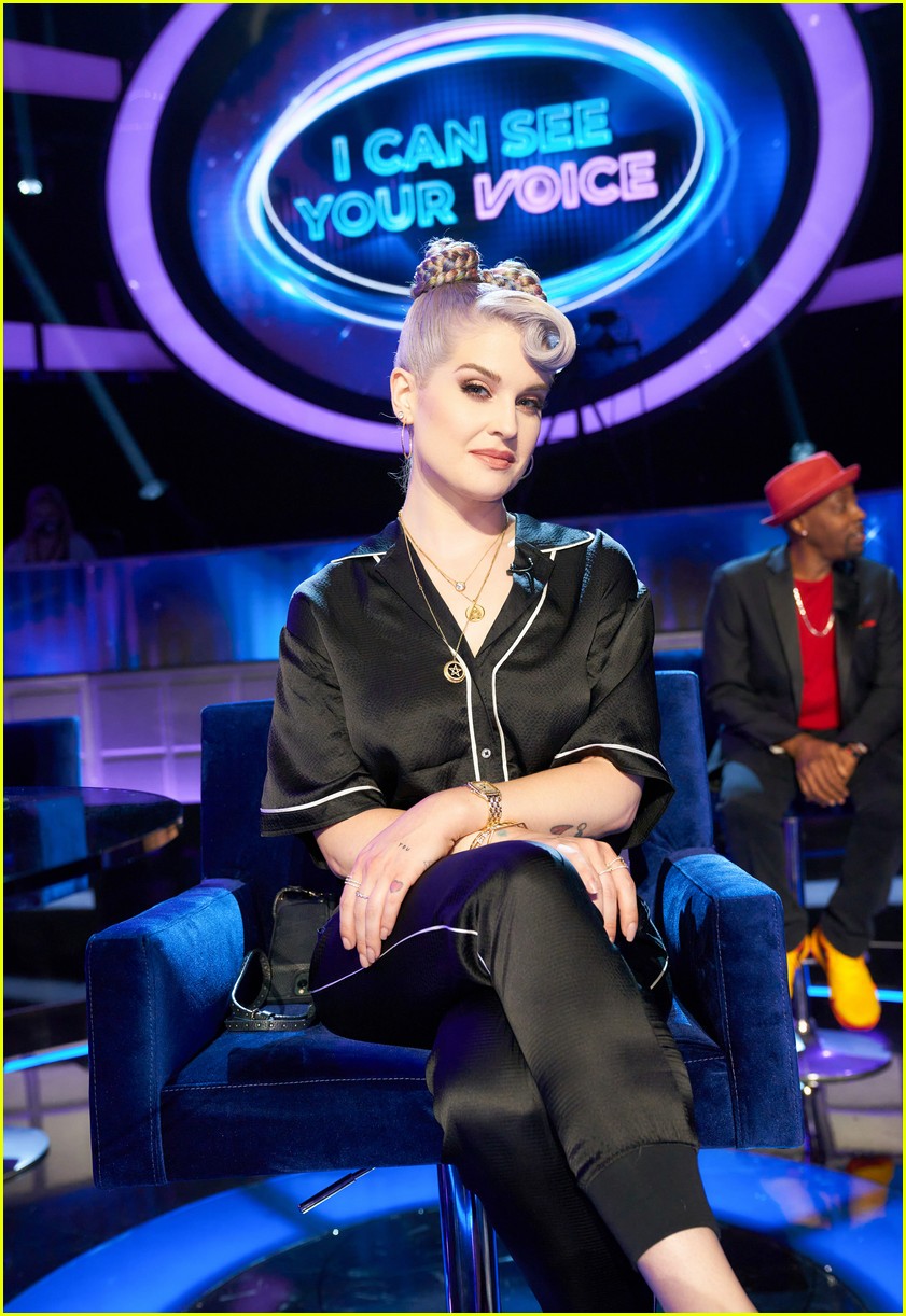 Fox's 'I Can See Your Voice'