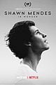 shawn mendes in wonder poster