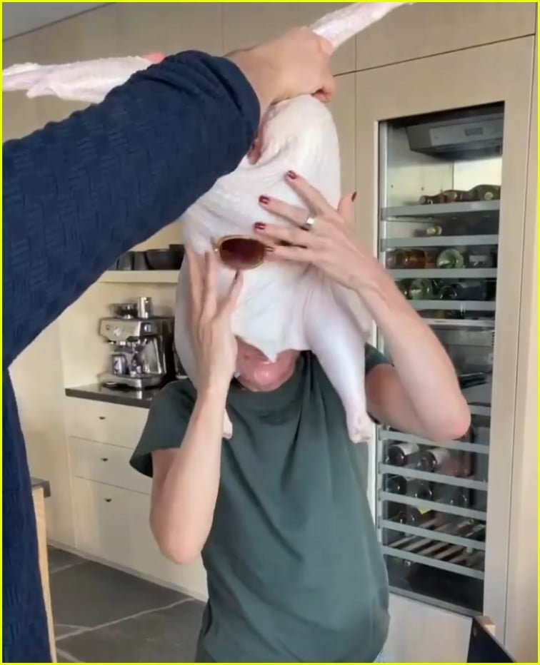 Courteney Cox Reveals Exactly How She Safely Put a Raw Turkey on Her