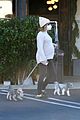 pregnant ashley tisdale takes her dogs while shopping 08