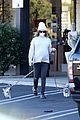 pregnant ashley tisdale takes her dogs while shopping 13
