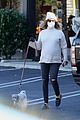 pregnant ashley tisdale takes her dogs while shopping 25