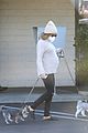 pregnant ashley tisdale takes her dogs while shopping 29