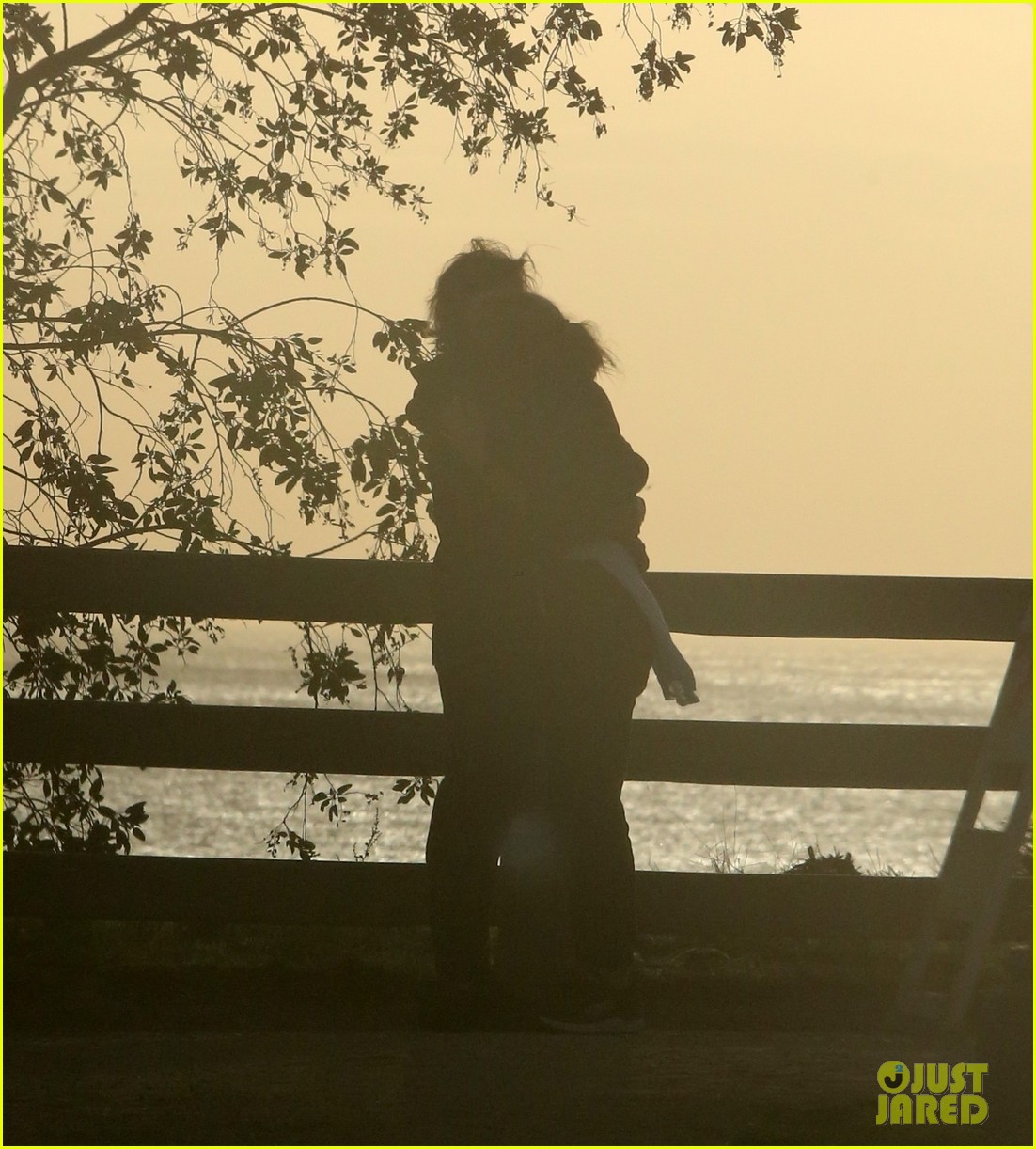 Paltrow & Brad Falchuk Watch the Sunset While Sharing a Sweet